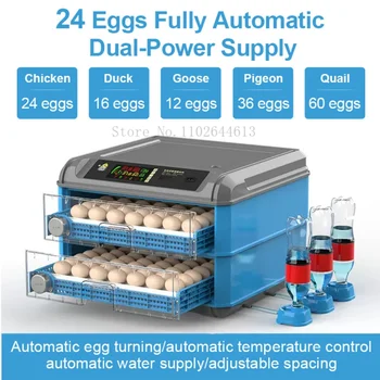 24 Yumurta Kuluçka Tam Otomatik Dijital Çekmece Tipi Kuluçka Ev Brooder Çiftlik Tavuk kuş Kuluçka Yumurta Kümes Hayvanları