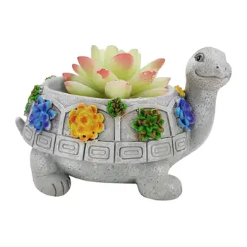 Hayvan Şekilli Karikatür Saksı Etli Kaplumbağa Pot Drenaj Deliği İle Sevimli Kaplumbağa Vazo Pot Ev Dekorasyon İçin Suculent Bitki