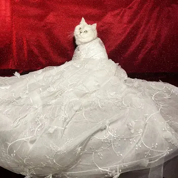 Pet Kedi Giyim Bahar Köpek düğün elbisesi Kuyruklu Kedi düğün elbisesi Net Kırmızı İnce Pet Oyuncak Elbise Kız Küçük Orta Köpekler için Kedi